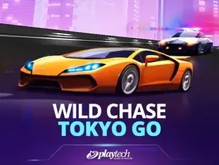 Wild Chase_ Tokyo Go screenshot